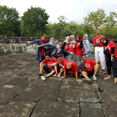 Std Tr Anm 21